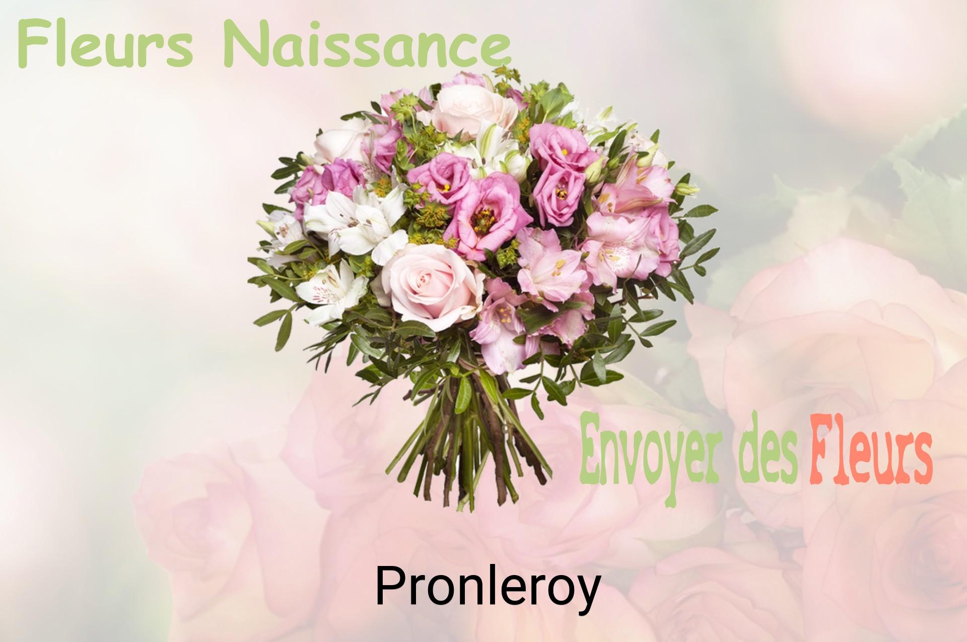 Bouquet de fleurs de naissance livré à Pronleroy